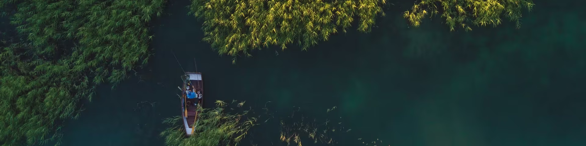 Helping companies prosper, by caring for their customers